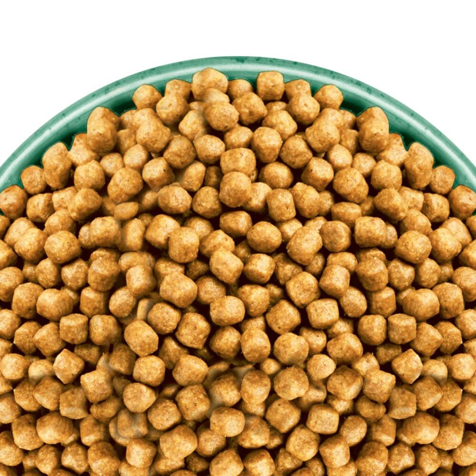 Adult Katze Trocken reich an Fisch 4kg