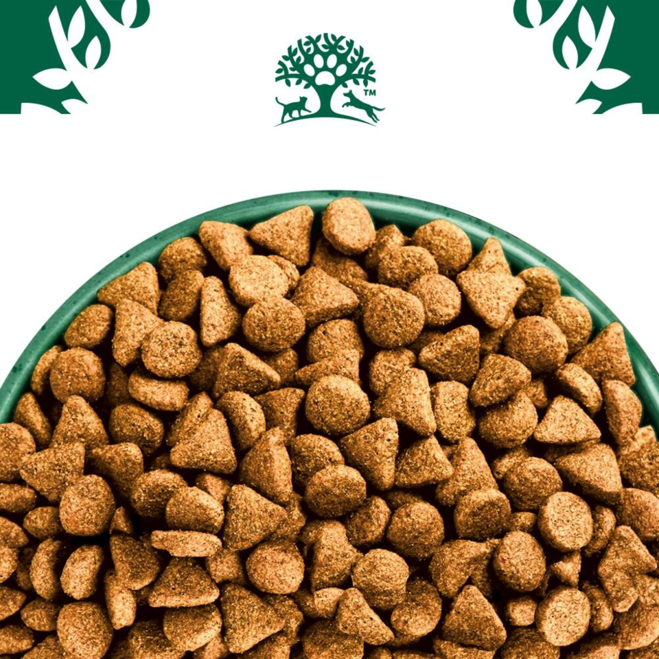 Superfoods Adult Hund Trocken reich an Truthahn mit einer Mischung aus Grünkohl & Quinoa