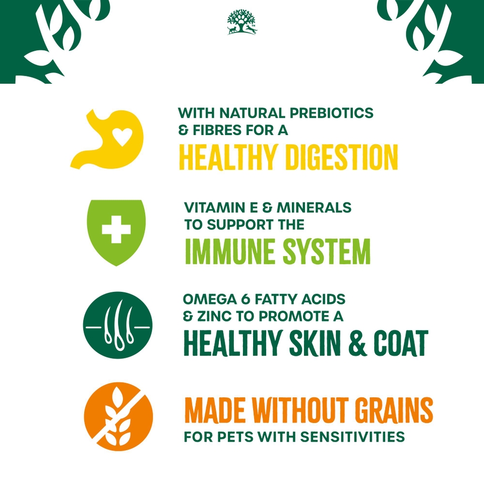 Adult Turkey & Veg Grain Free Dry Cat Food
