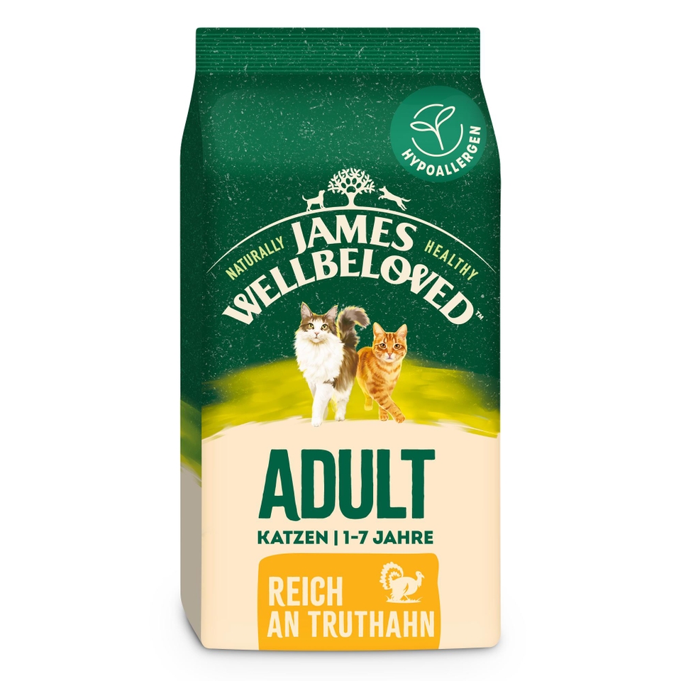 Adult Katze Trocken reich an Truthahn