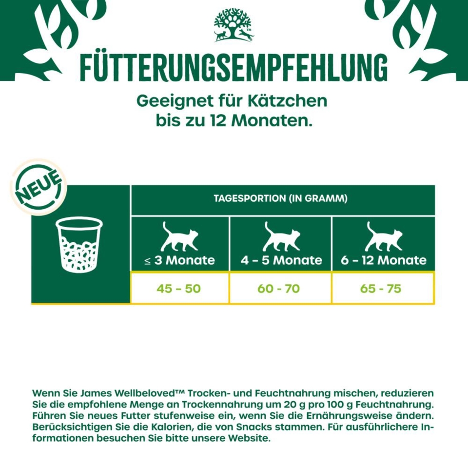 Kitten Trocken reich an Truthahn