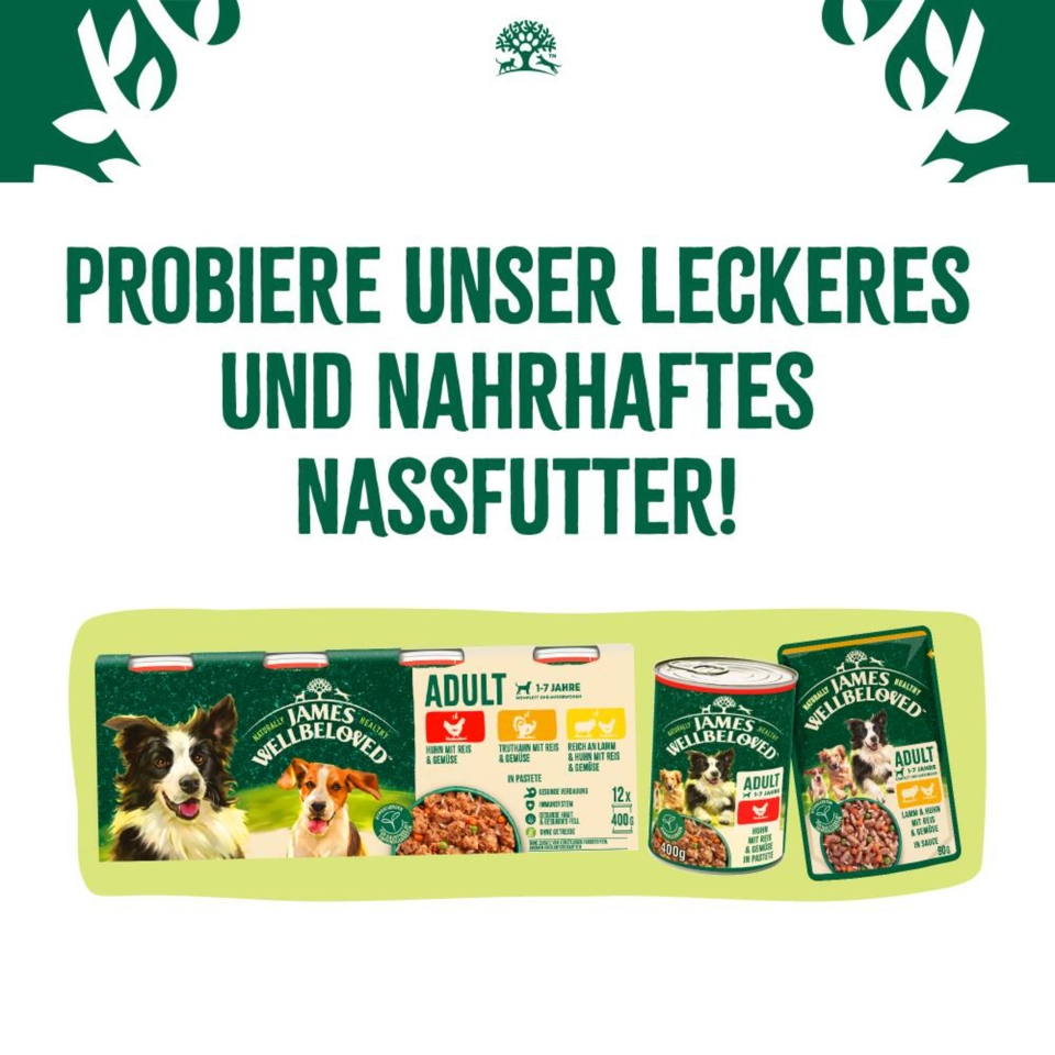 Adult Hund Trocken reich an Truthahn & Reis 2kg