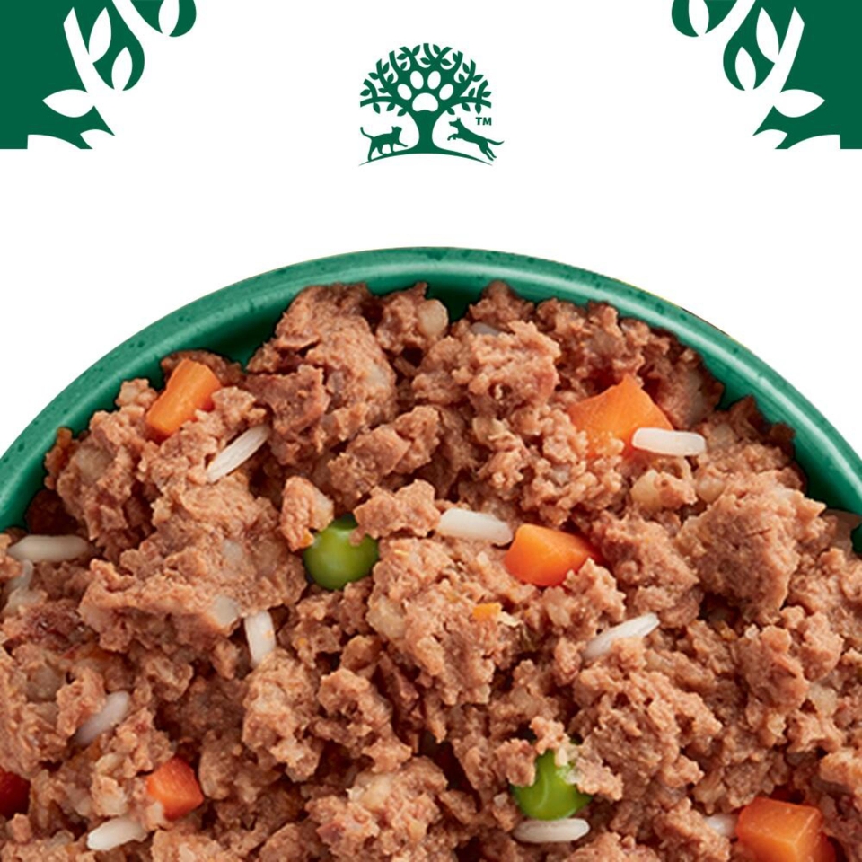 Senior Hund Nass reich an Lamm & Huhn mit Reis & Gemüse in Pastete