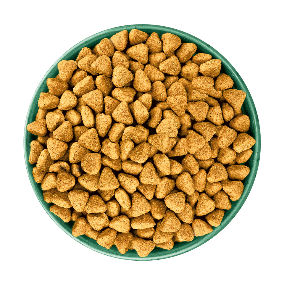 Adult Turkey & Veg Grain Free Dry Dog Food 1.5kg