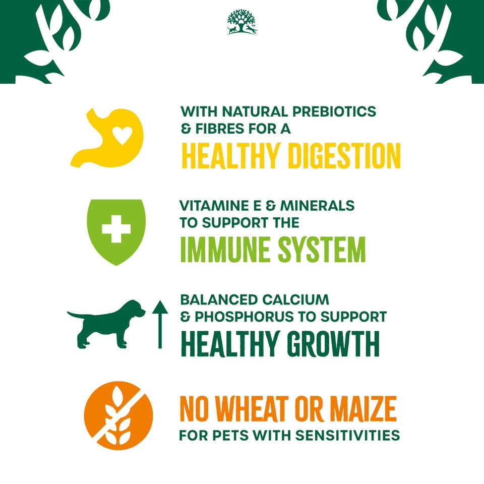 Puppy Turkey & Rice Dry Dog Food