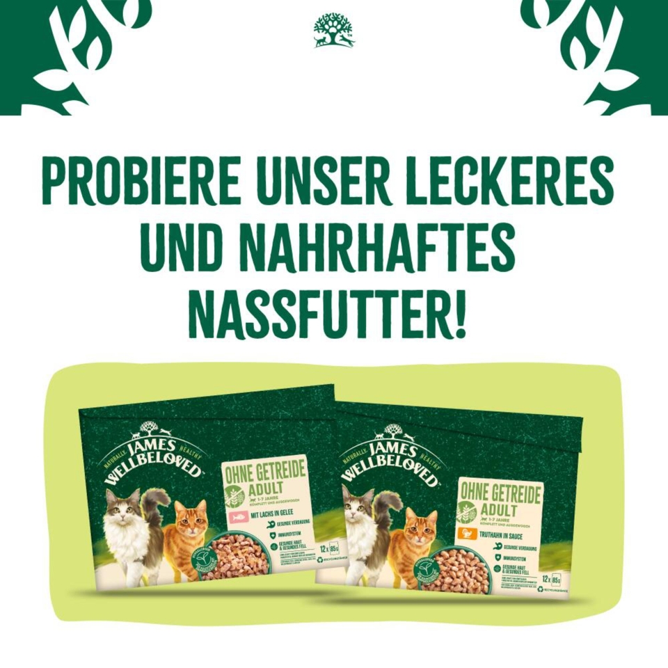 Adult Katze Trocken ohne Getreide reich an Truthahn 1,5kg