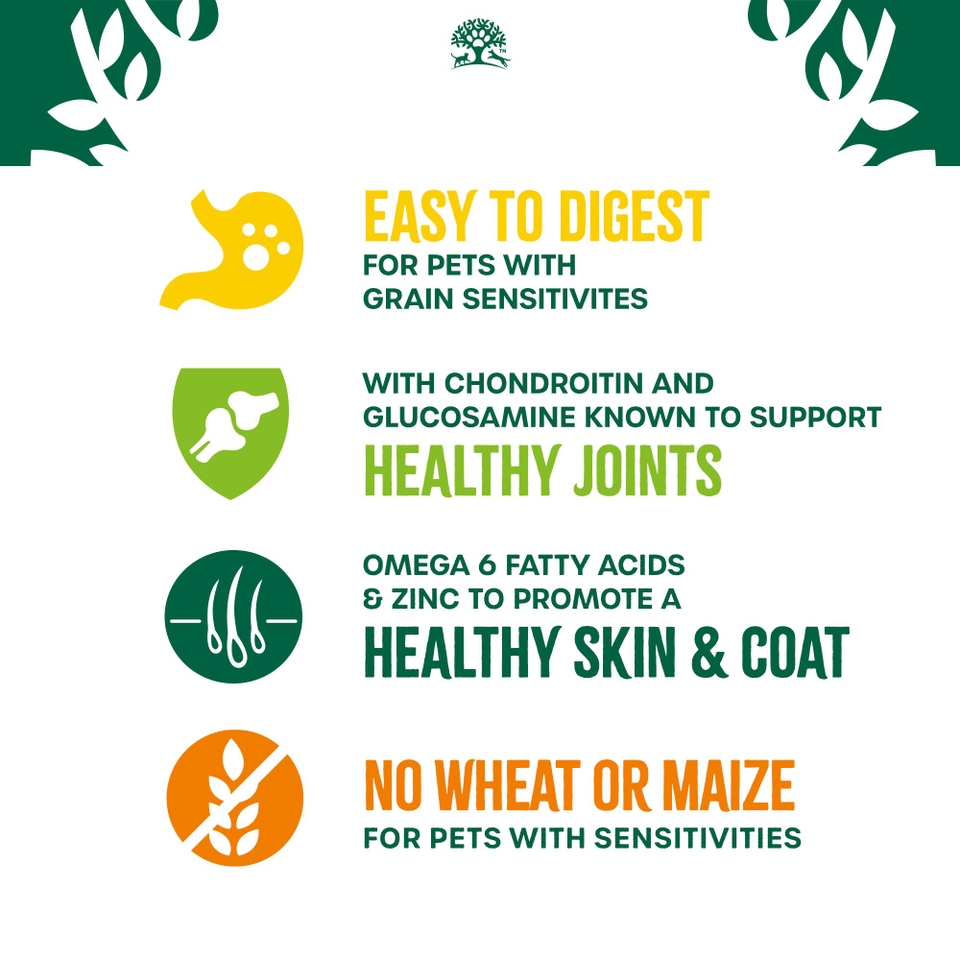 Senior Lamb & Veg Grain Free Dry Dog Food