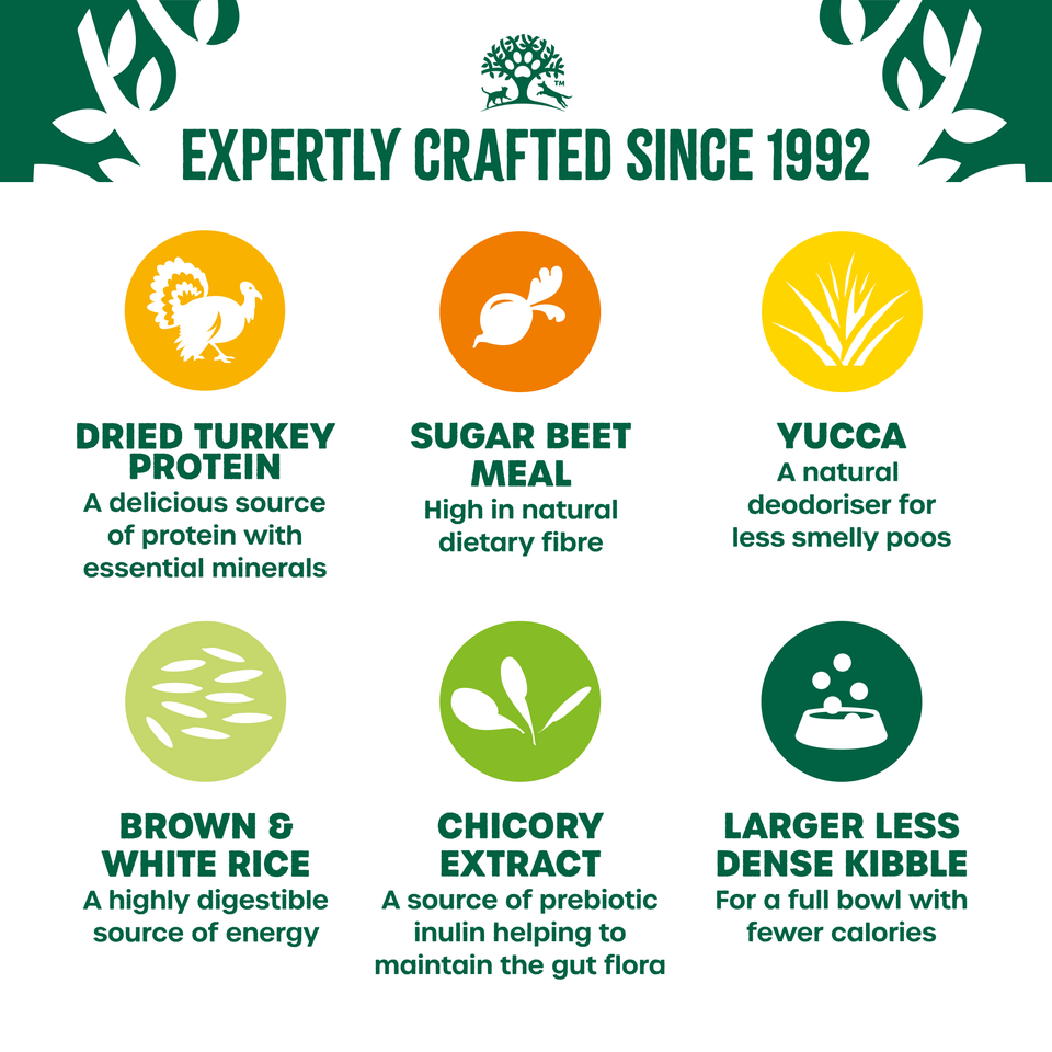 Adult Turkey & Rice Light Dry Dog Food