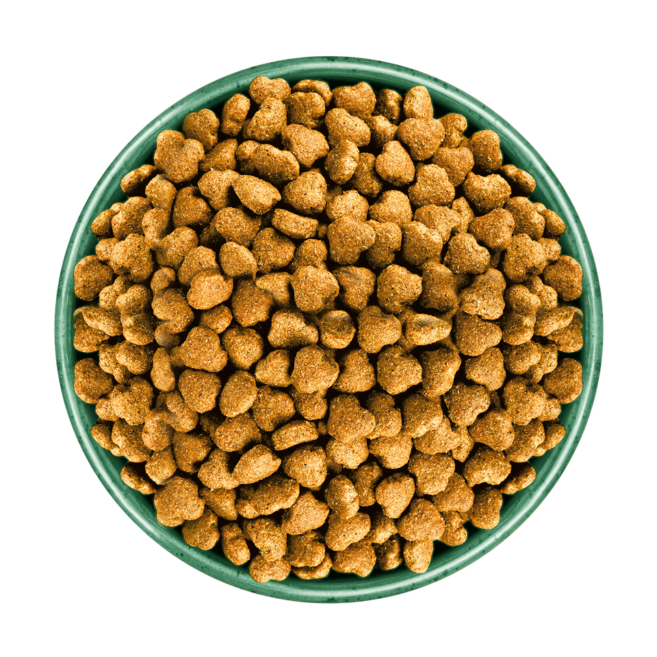 Adult Chicken & Rice Dry Dog Food