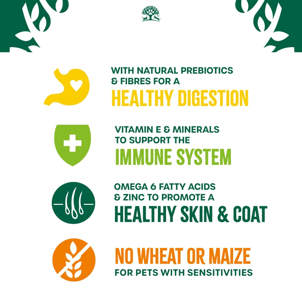 Adult Chicken & Rice Dry Dog Food