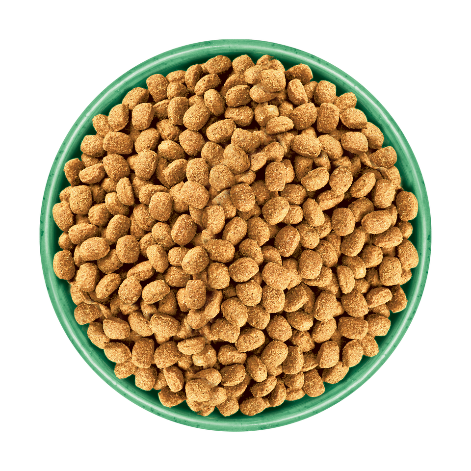Senior Turkey & Rice Small Breed Dry Dog Food