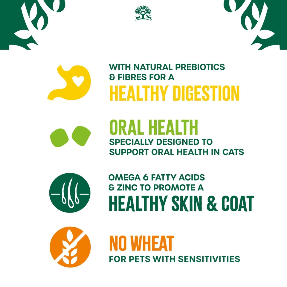 Adult Turkey Oral Health Dry Cat Food