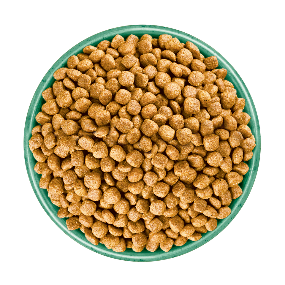 Adult Turkey & Veg Grain Free Small Breed Dry Dog Food