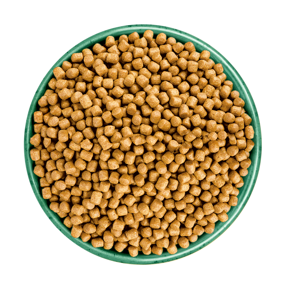 Adult Turkey Hairball Dry Cat Food