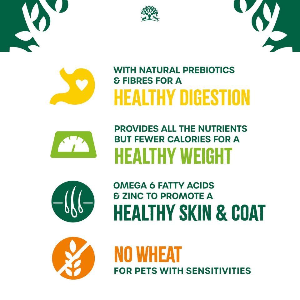 Adult Fish Dry Cat Food Light