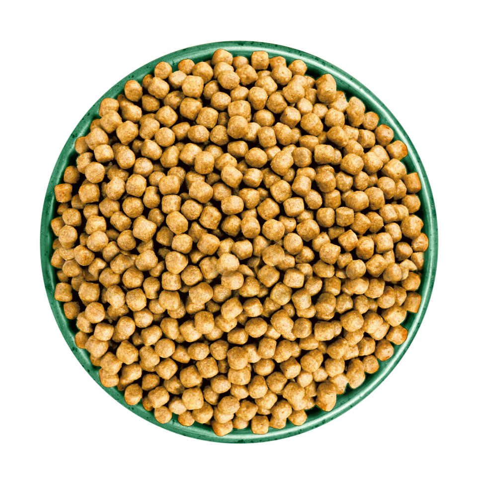 Senior Fish Dry Cat Food