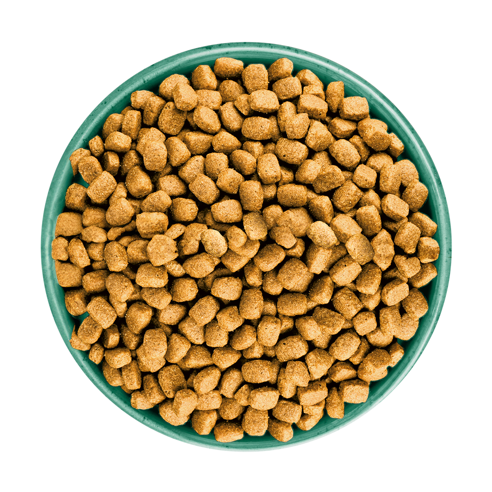 Adult Lamb & Rice Small Breed Dry Dog Food