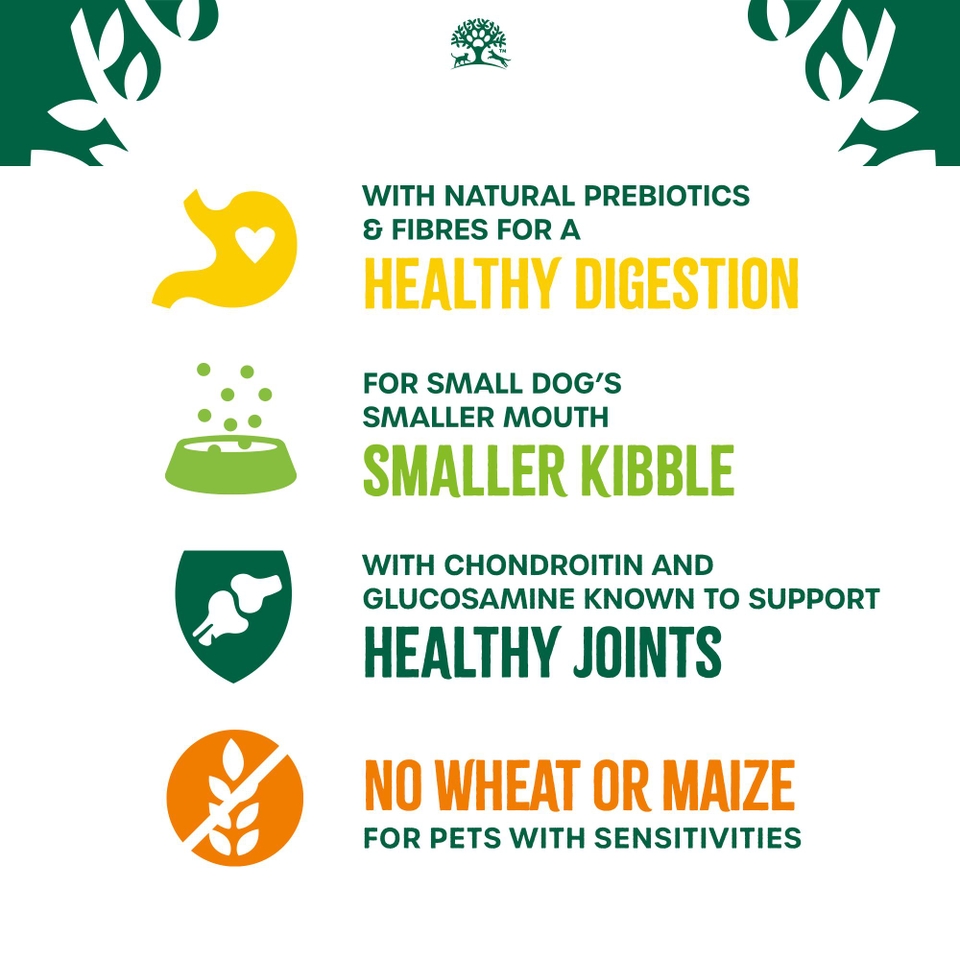 Senior Turkey & Rice Small Breed Dry Dog Food 4.5kg