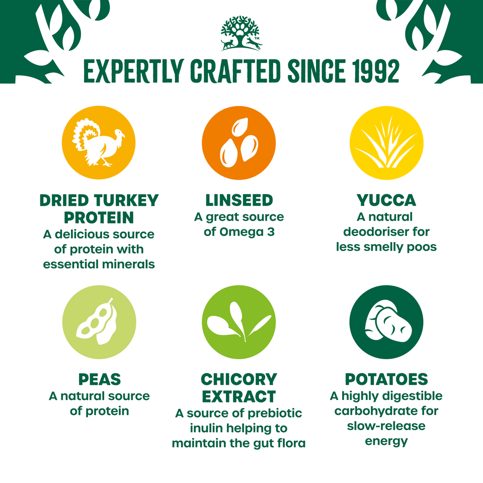 Adult Turkey & Veg Grain Free Dry Dog Food 10kg