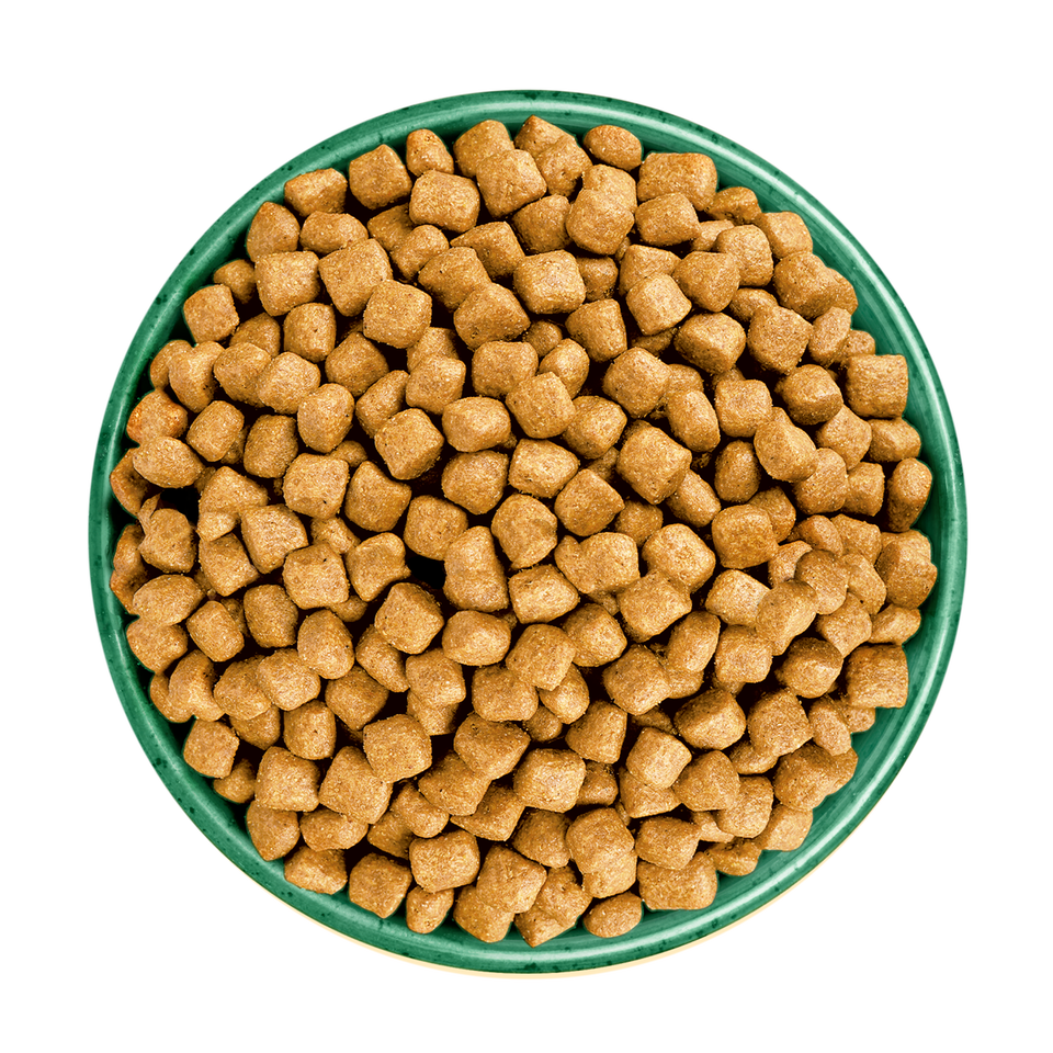 Adult Turkey Oral Health Dry Cat Food 4.5kg