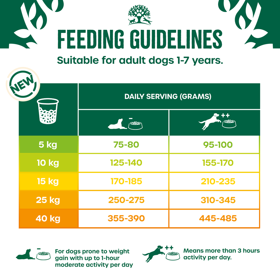 Adult Lamb & Rice Light Dry Dog Food 12kg