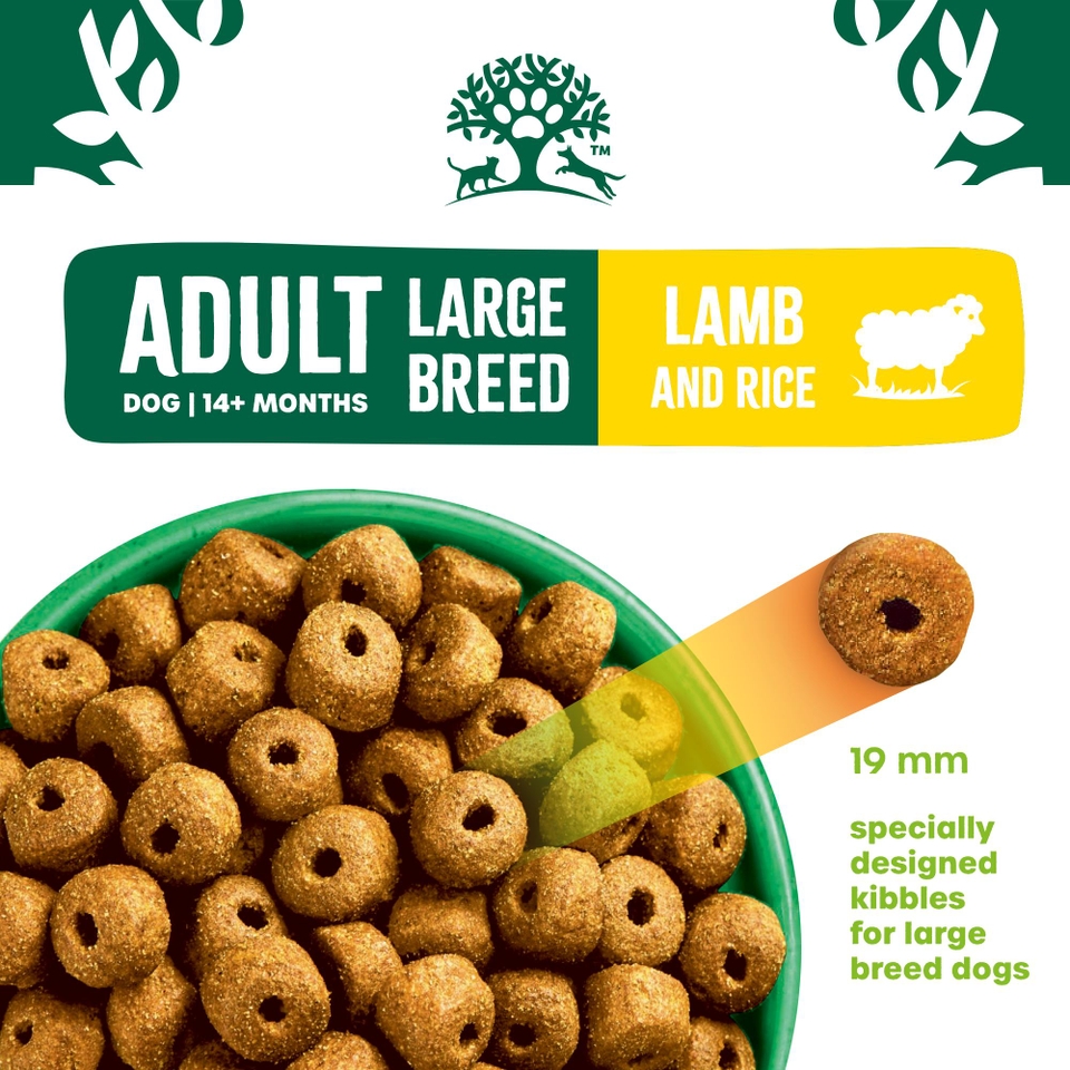 Adult Lamb & Rice Large Breed Dry Dog Food 10kg