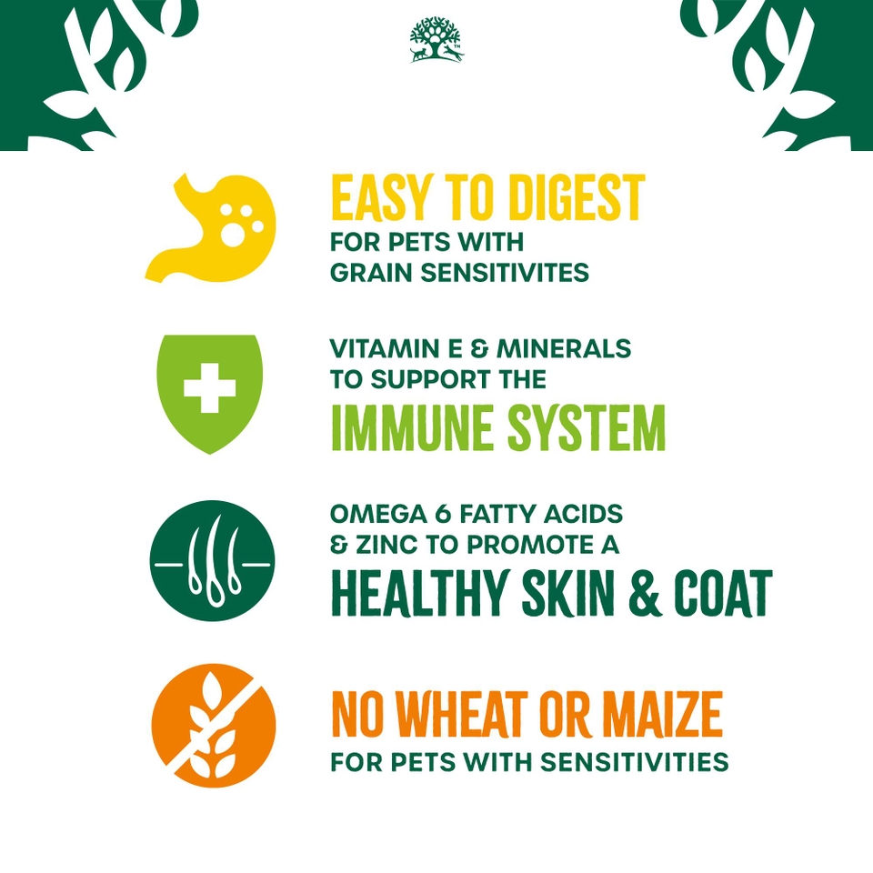 Adult Lamb & Veg Grain Free Dry Dog Food 10kg