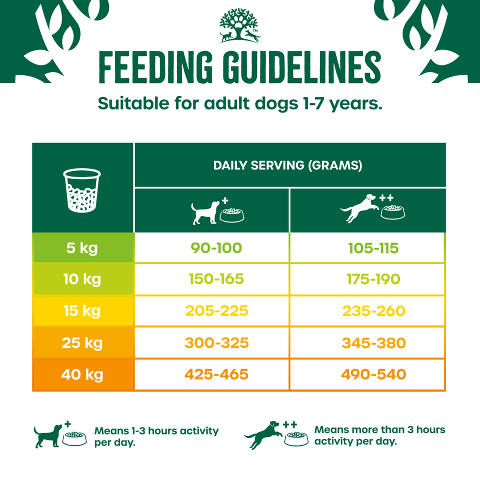 Adult Lamb Dry Dog Food Plant Power 4.5kg