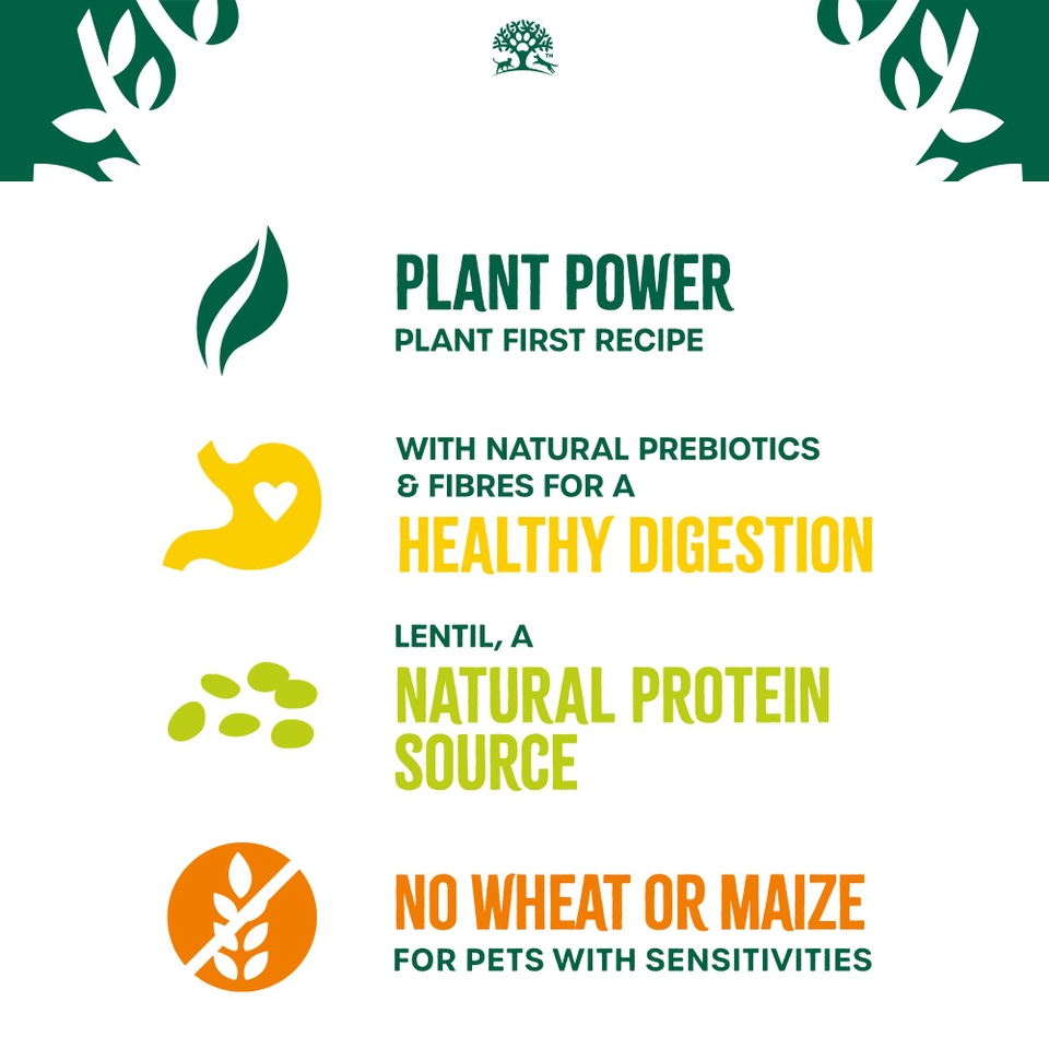 Adult Lamb Dry Dog Food Plant Power 4.5kg