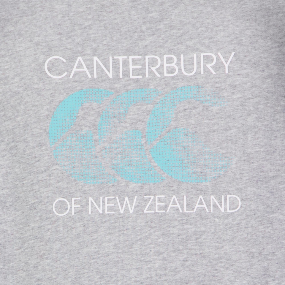 MENS RAKAIA HOODIE GREY