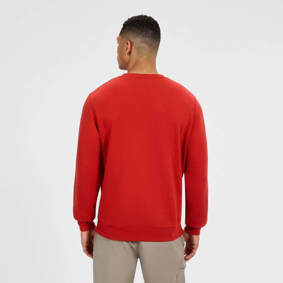 Men's Logo Crew Light jumper - Orange