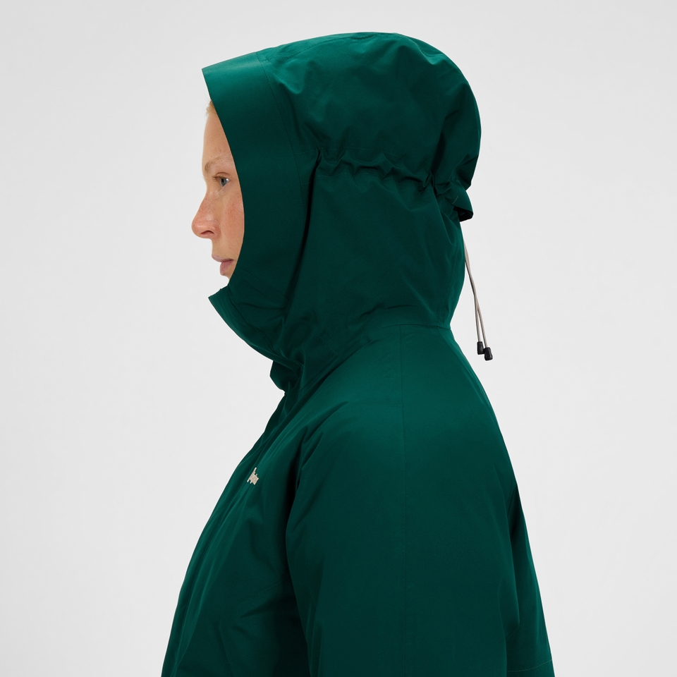 Women's Ashberry Gore-tex Down Parka - Green