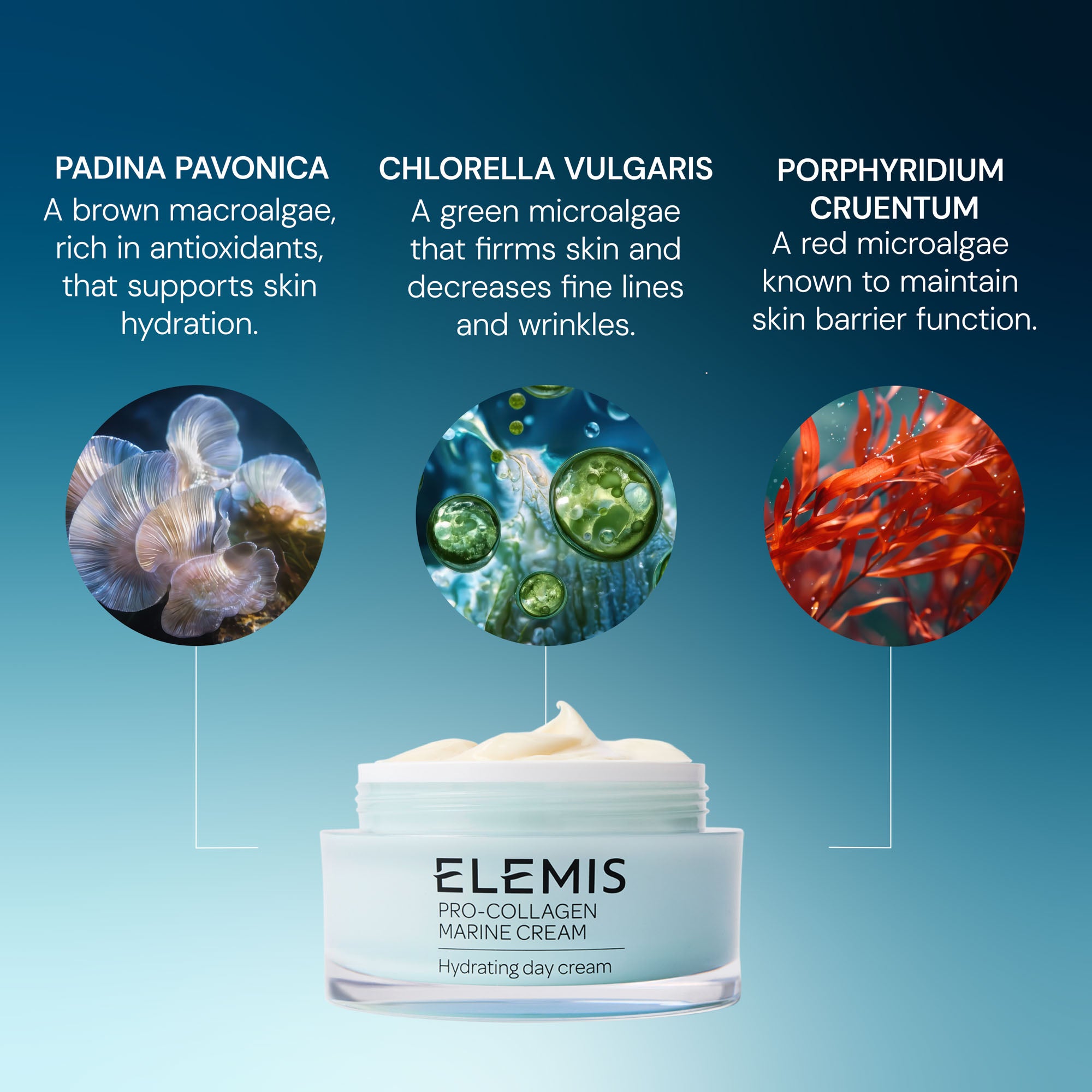 Elemis Pro-Collagen Rose Marine Cream (50ml) | Dermstore
