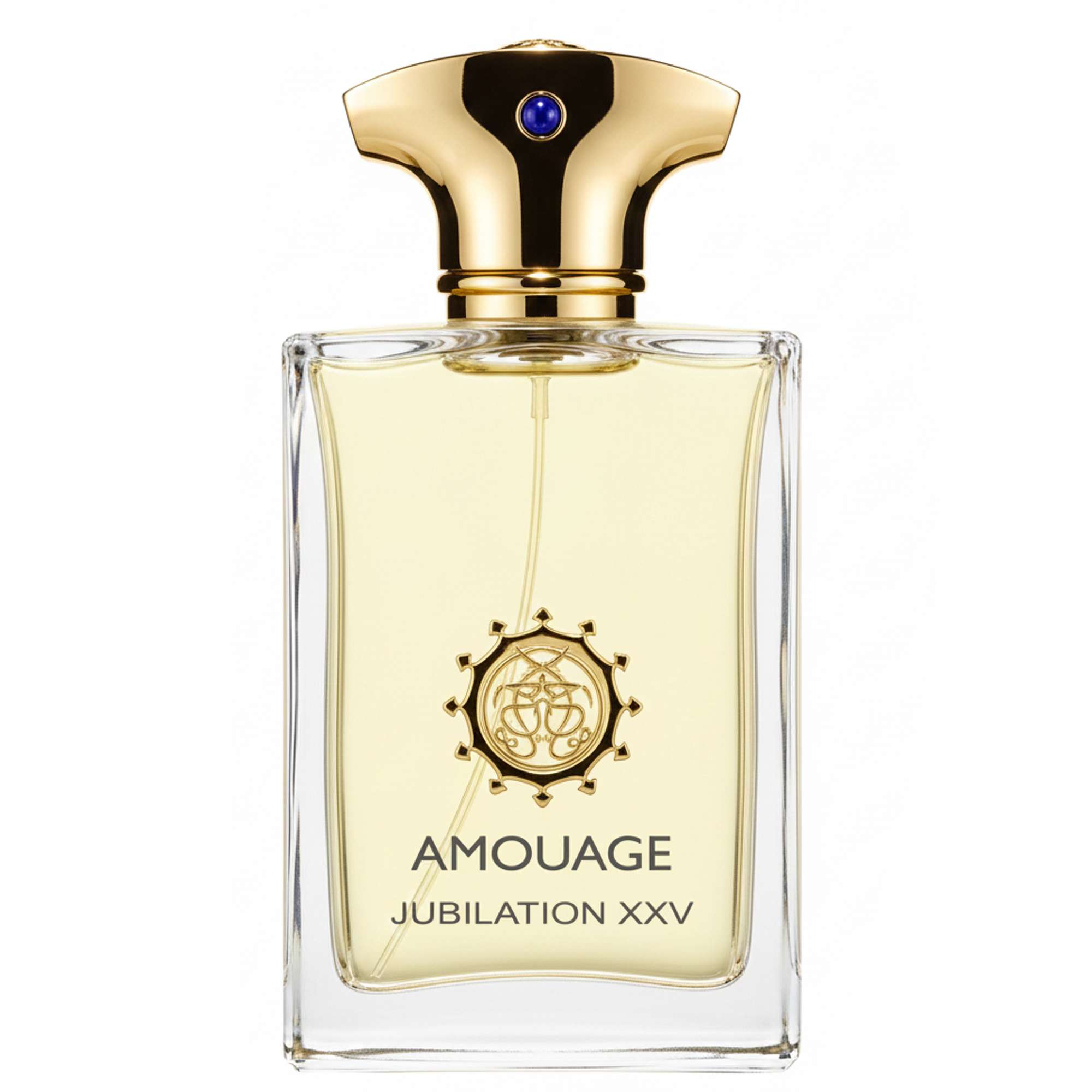 Amouage Jubilation XXV Man Eau de Parfum Spray 100ml | allbeauty