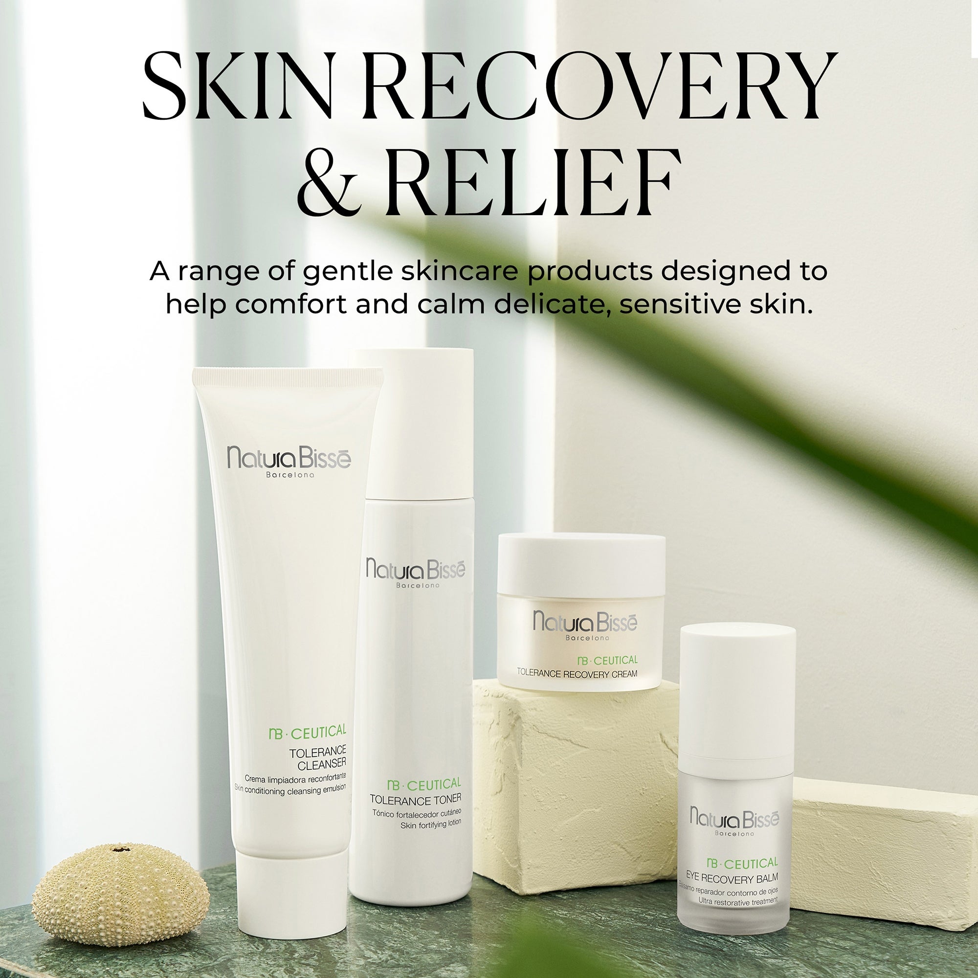 Natura Bissé Tolerance Recovery Cream (1.7 oz.) | Dermstore