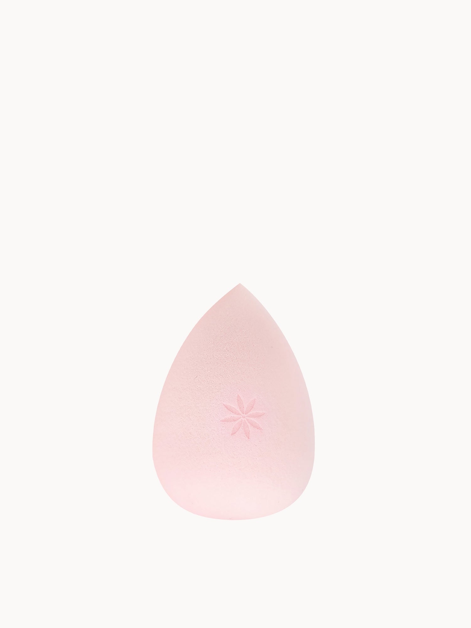 brushworks Complexion Sponge