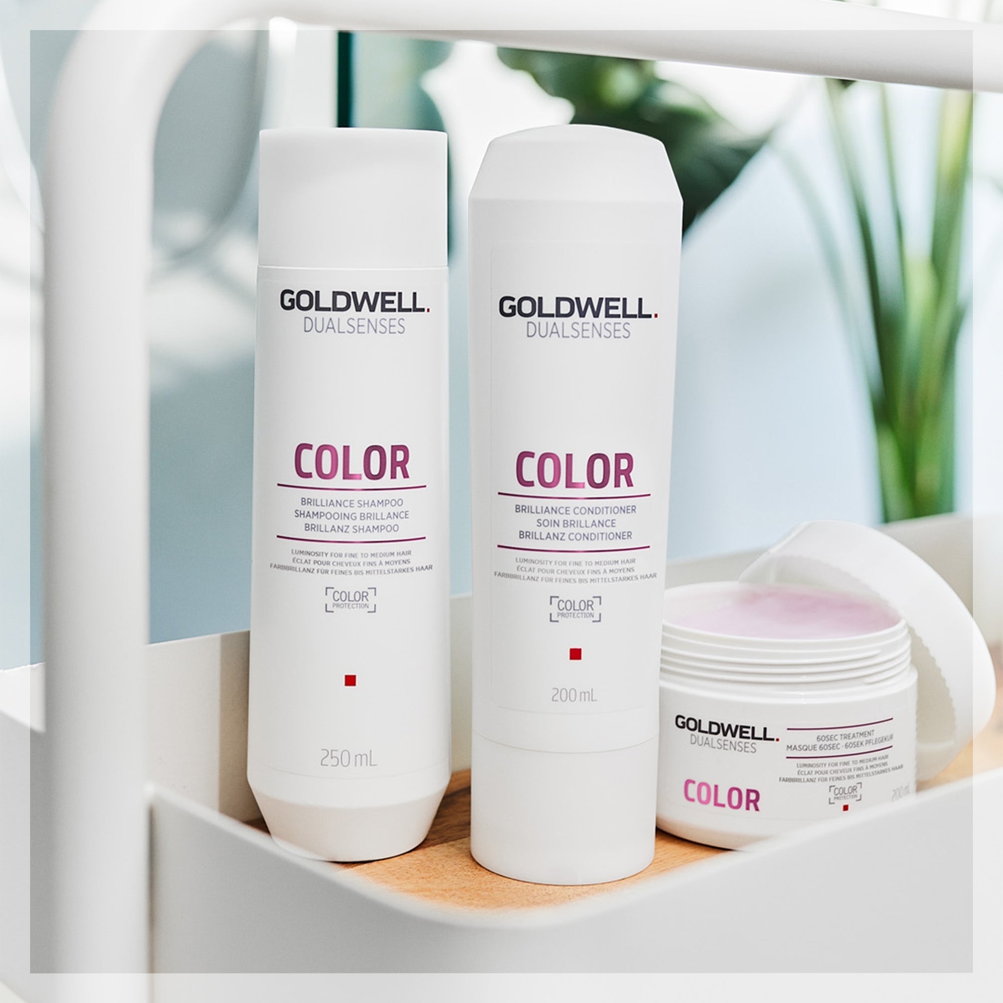 Goldwell Dual Senses Color Shampoo | 250 Ml | Für Farbbehandeltes Haar | Mit Granatapfel-Extrakt & UV-Schutz