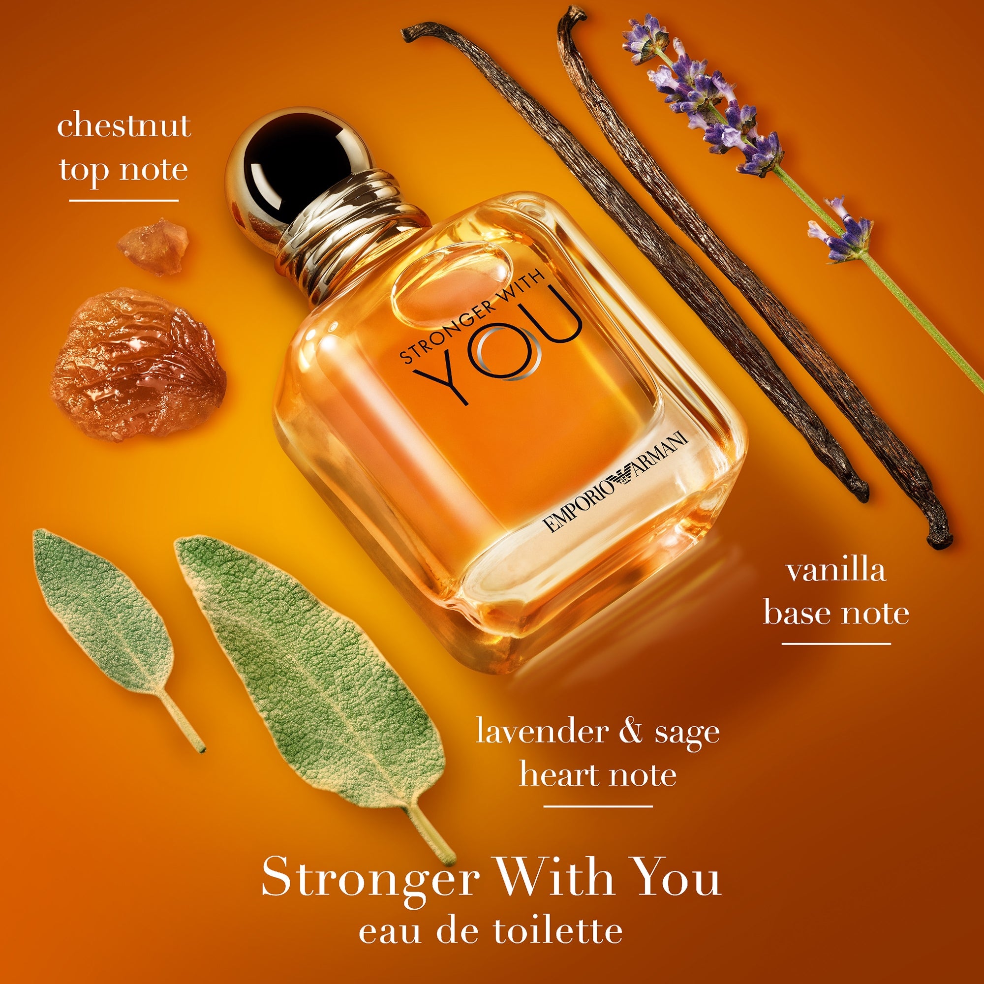 Armani Stronger With You Eau de Toilette 50ml | LOOKFANTASTIC
