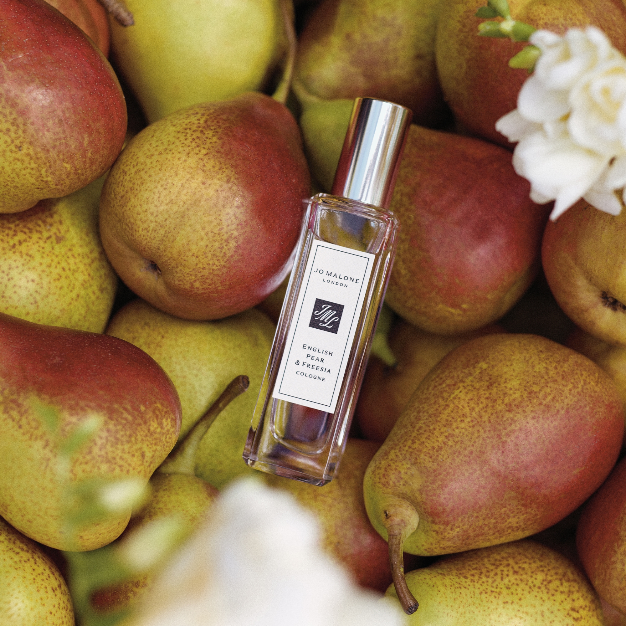 Jo Malone London English Pear & Freesia Cologne 50ml | LOOKFANTASTIC
