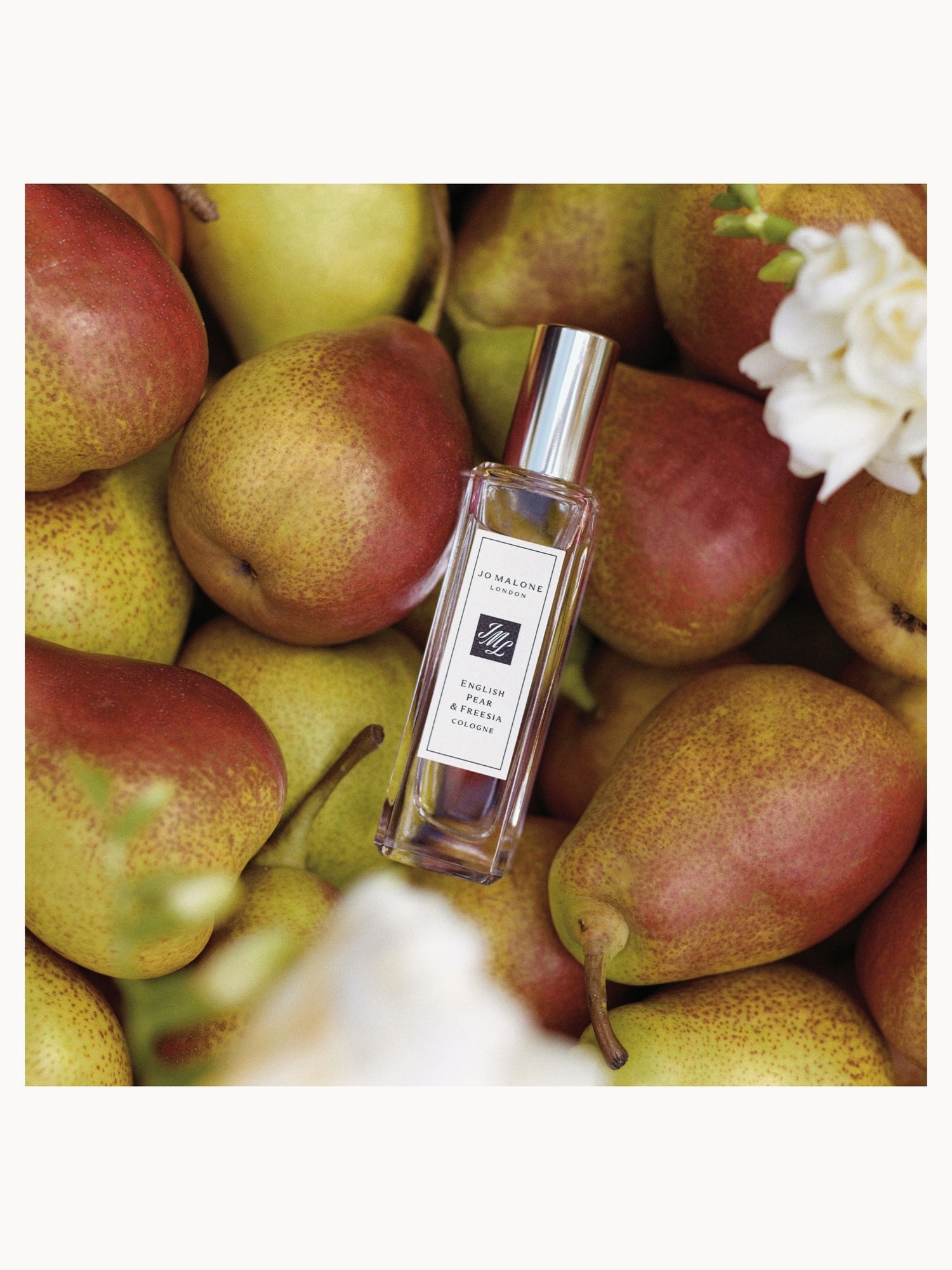 Jo Malone London English Pear & Freesia Cologne 100ml | LOOKFANTASTIC