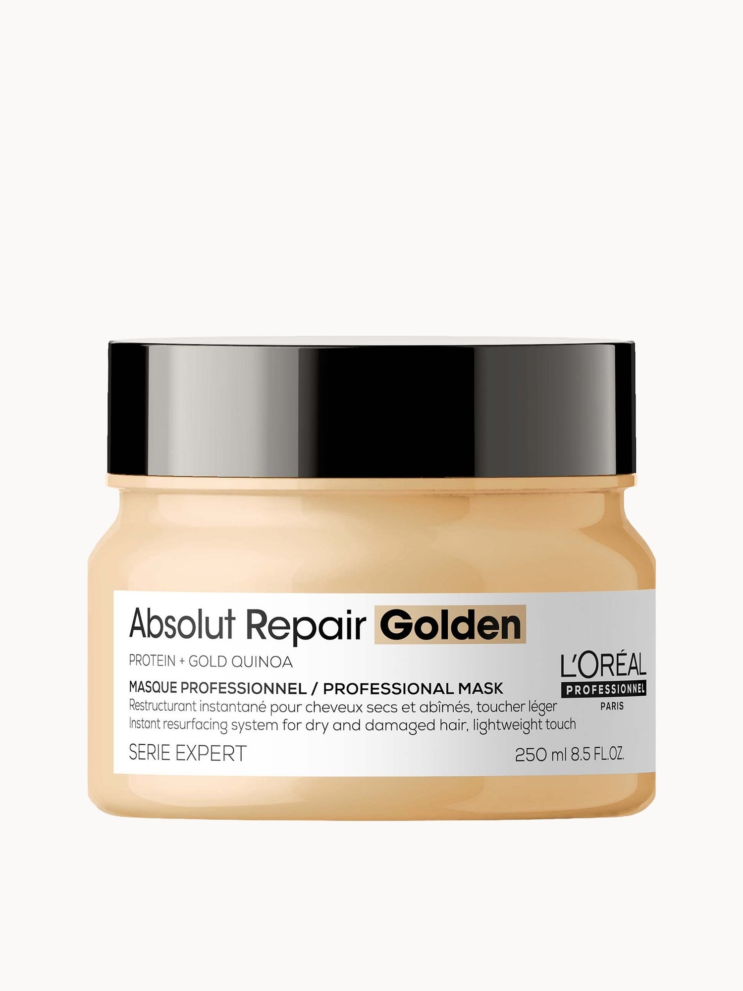 L'Oreal Professionnel Absolut Repair Gold Hydrating Hair Mask for Dry Hair