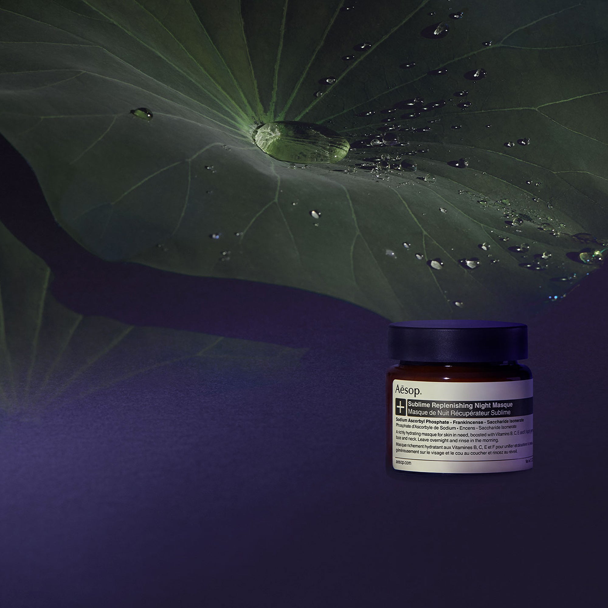 Aesop Sublime Replenishing Night Masque 60ml | Dermstore