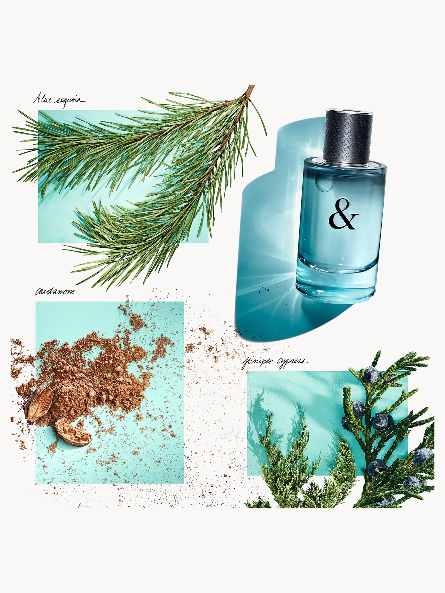 Tiffany & Co. & Love for Him Eau de Toilette 50ml | LOOKFANTASTIC