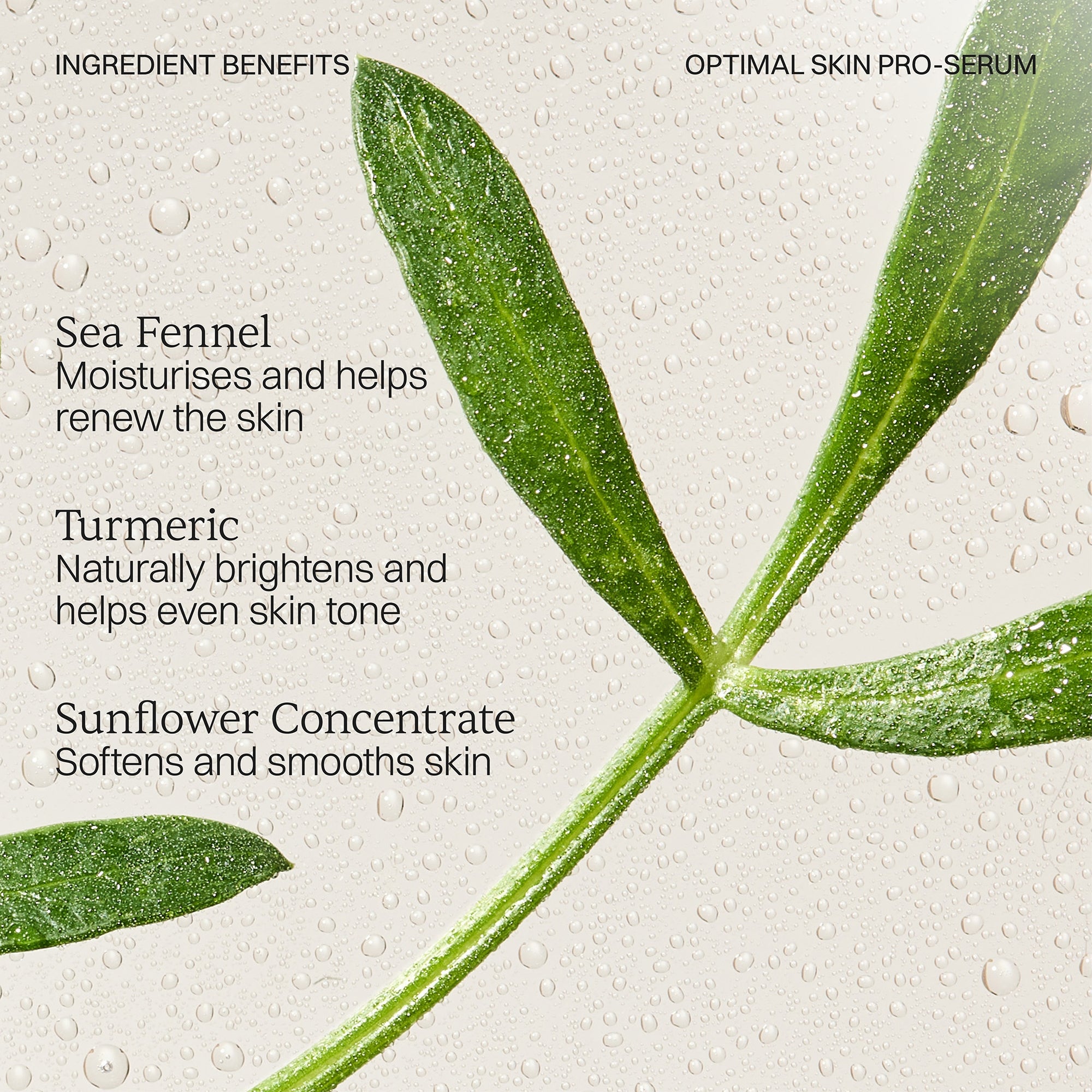 Optimal Skin Pro-Serum | ESPA