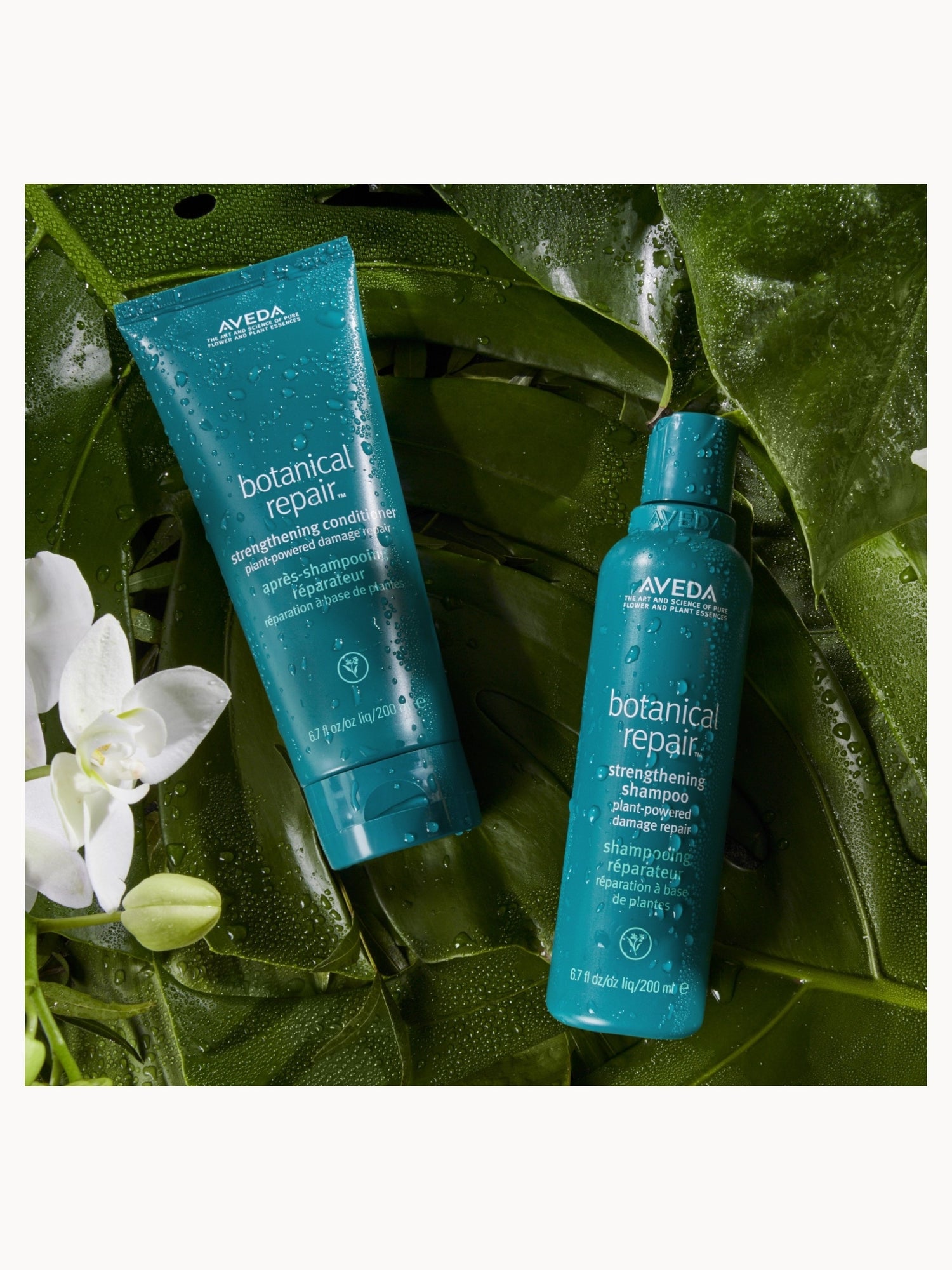 Aveda Botanical Repair Strengthening Shampoo & Conditioner Bundle