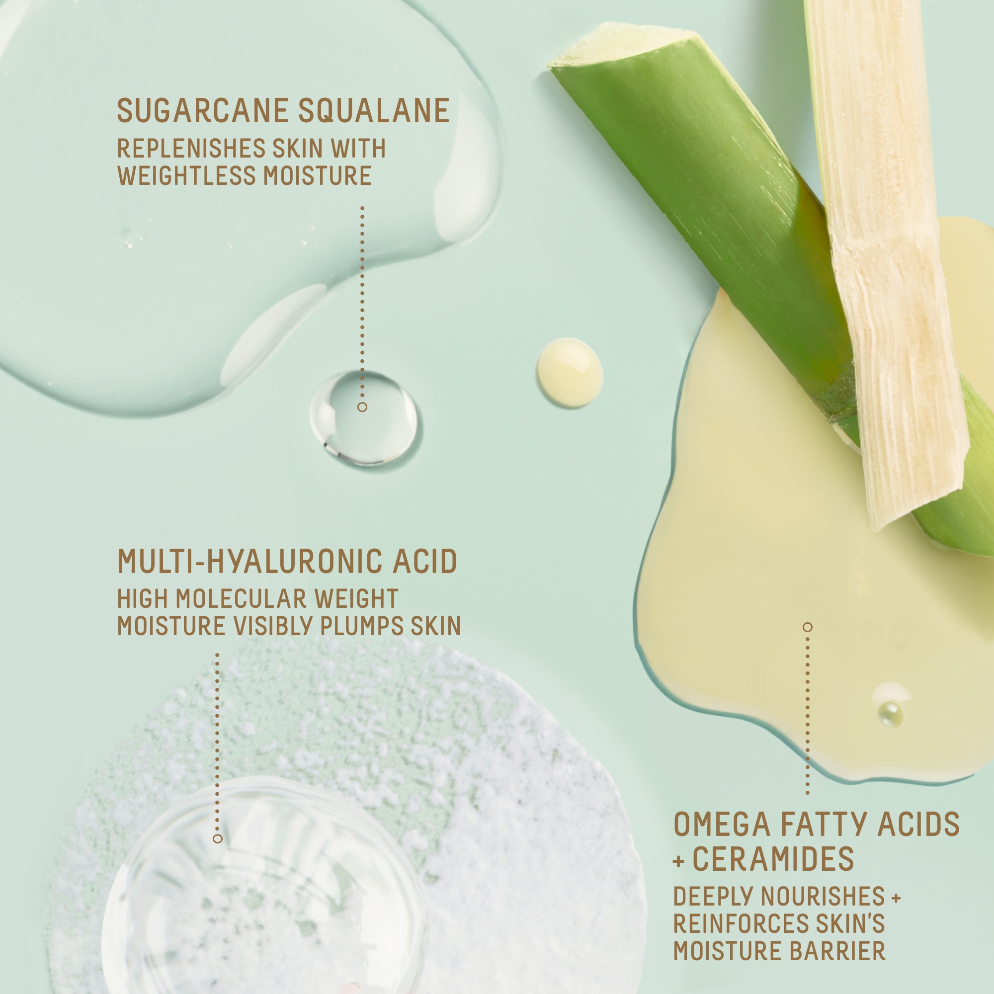 Squalane + Omega Repair Deep Hydration Moisturizer