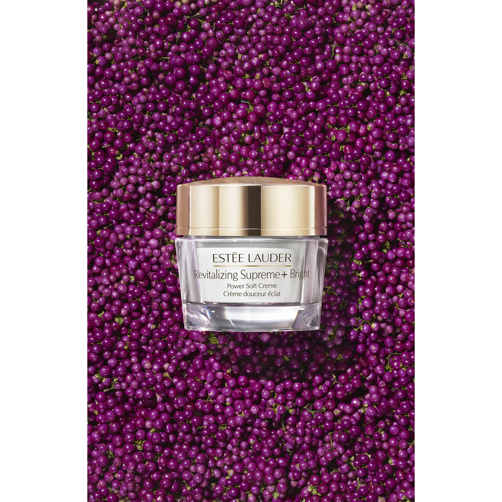 Estée Lauder Revitalizing Supreme Bright Power Soft Creme (1.69 oz