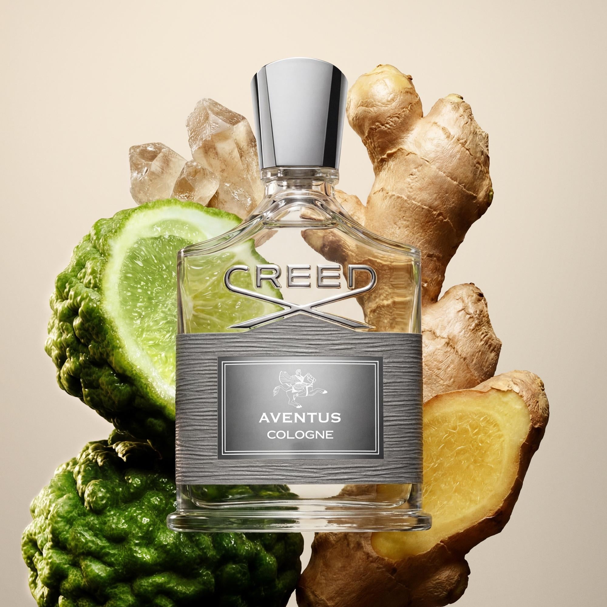 Aventus | Men's Woody Fragrance | Bergamot & Birch | Creed Fragrance