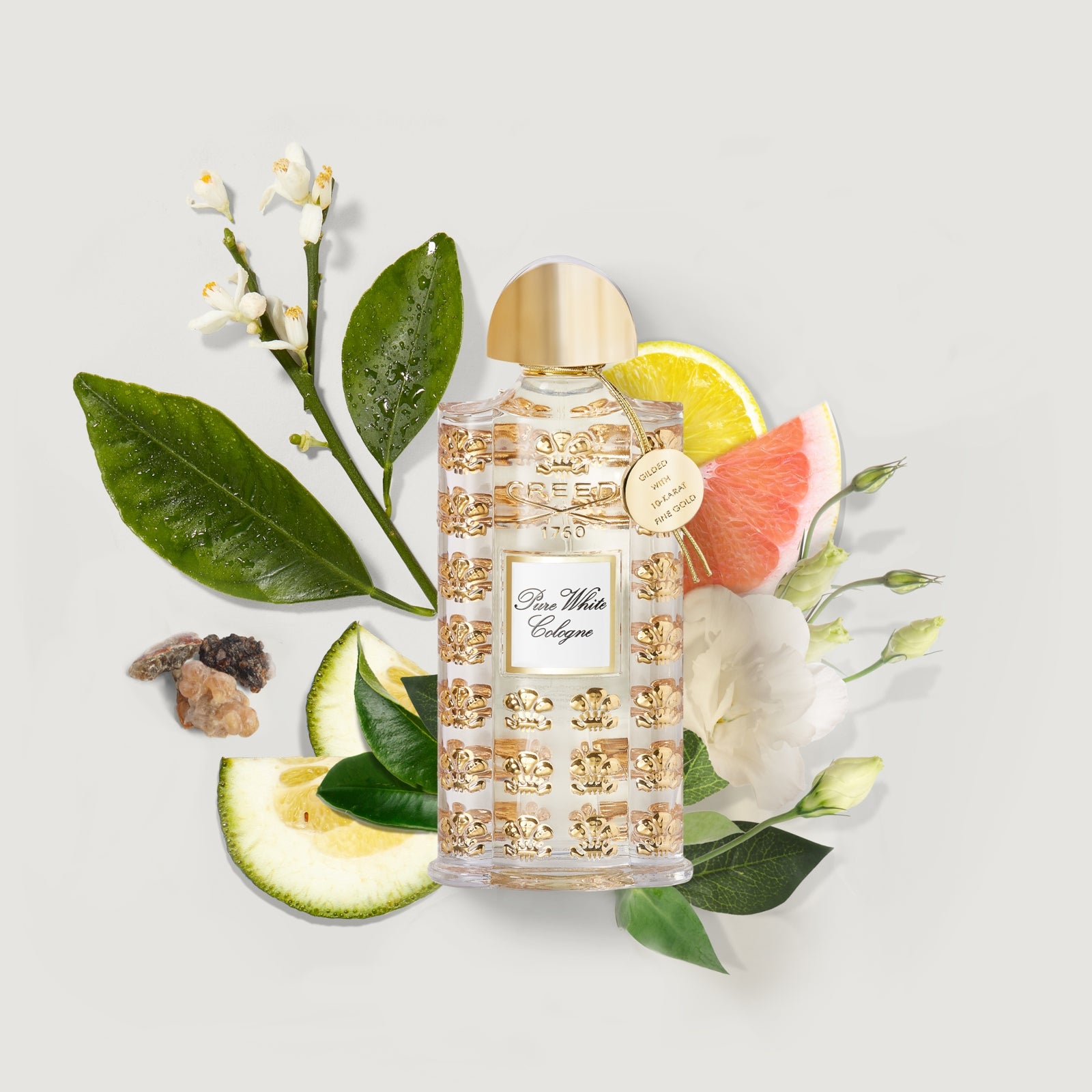 Jardin d'Amalfi | Creed Fragrance
