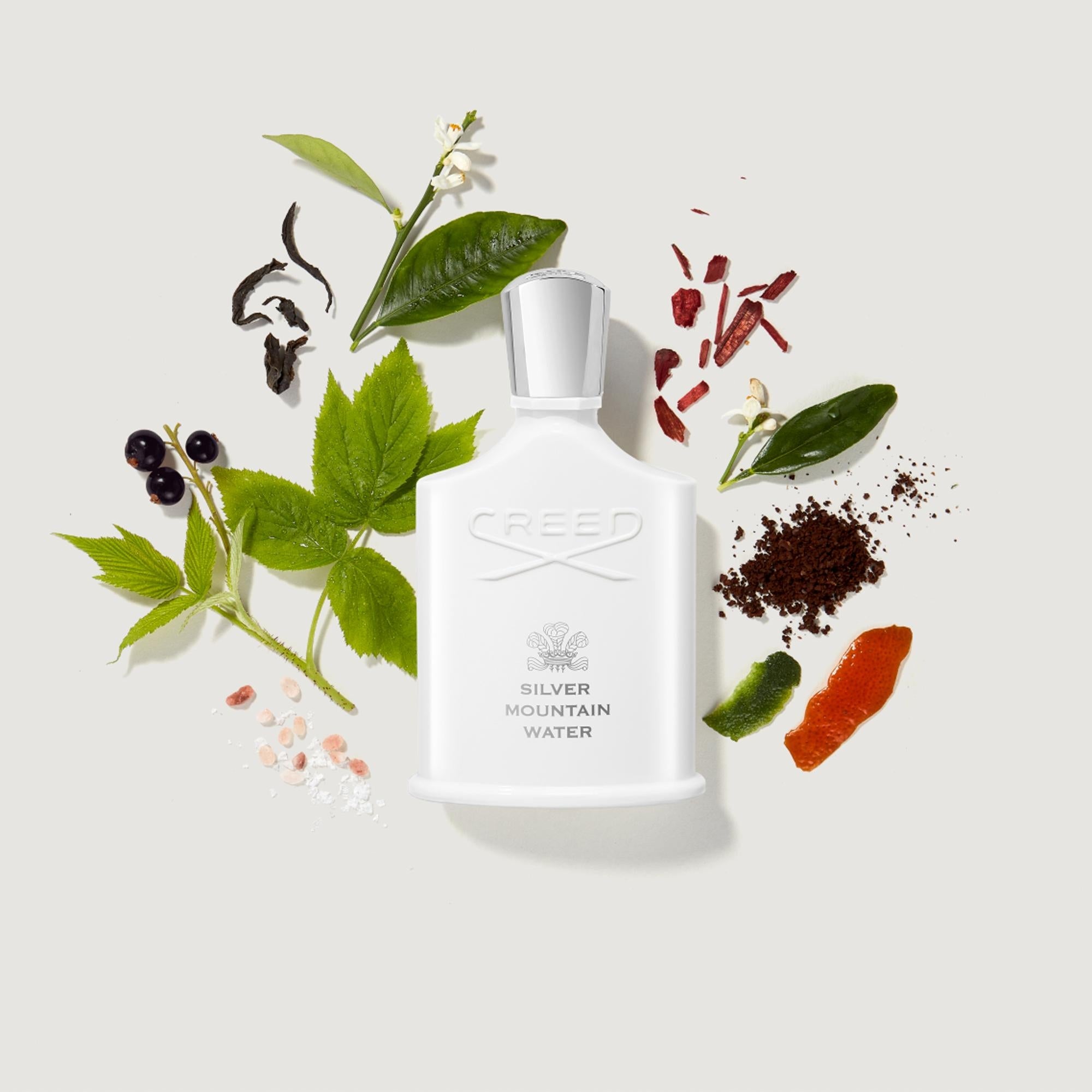 Aventus | Men's Woody Fragrance | Bergamot & Birch | Creed Fragrance